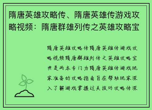 隋唐英雄攻略传、隋唐英雄传游戏攻略视频：隋唐群雄列传之英雄攻略宝典